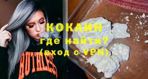 шишки Майский