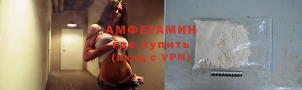 шишки Майский