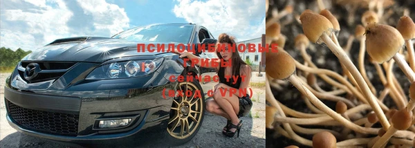 сатива Магас