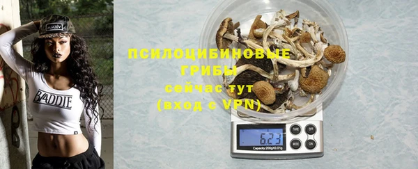 шишки Майский
