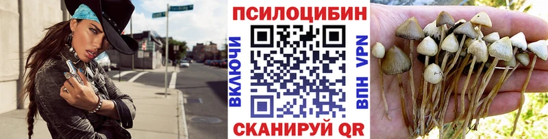 Галлюциногенные грибы Cubensis  где продают наркотики  Майкоп 