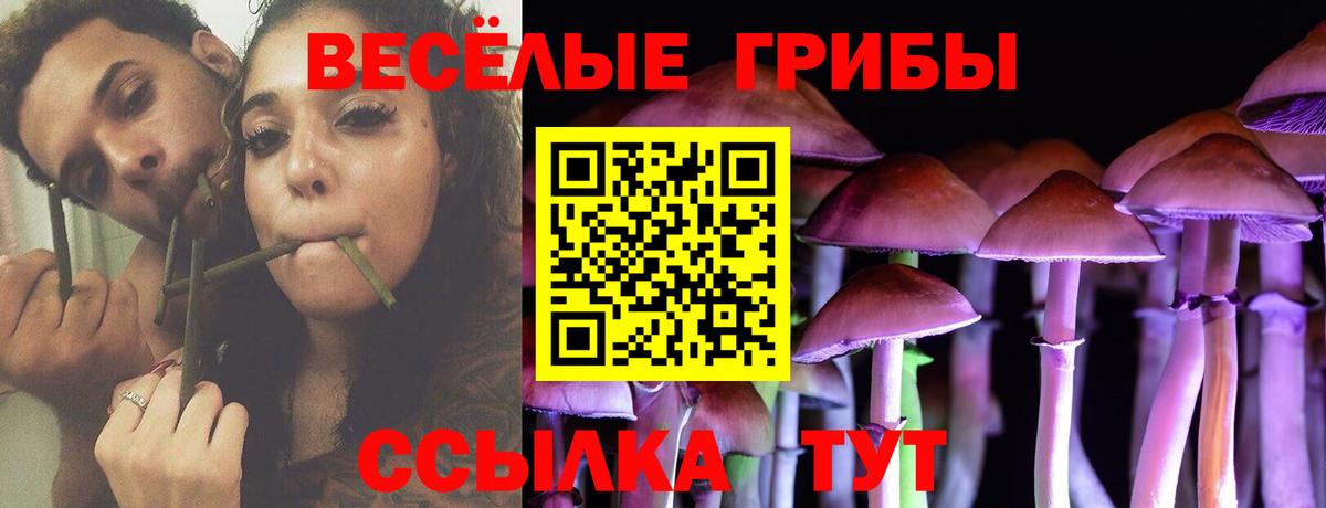Псилоцибиновые грибы ЛСД Майкоп