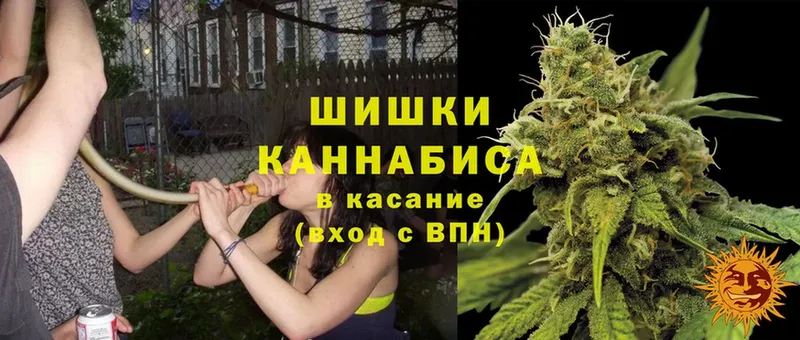 Шишки марихуана THC 21%  магазин продажи наркотиков  Майкоп 